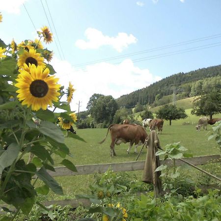 Апартаменты Urlaub Auf Dem Haenslehof Эльцах Экстерьер фото