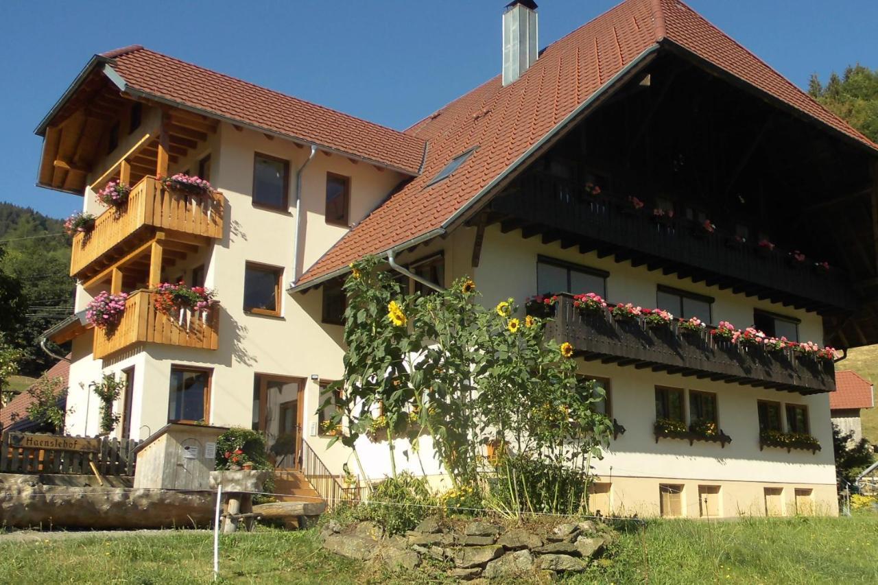 Апартаменты Urlaub Auf Dem Haenslehof Эльцах Экстерьер фото
