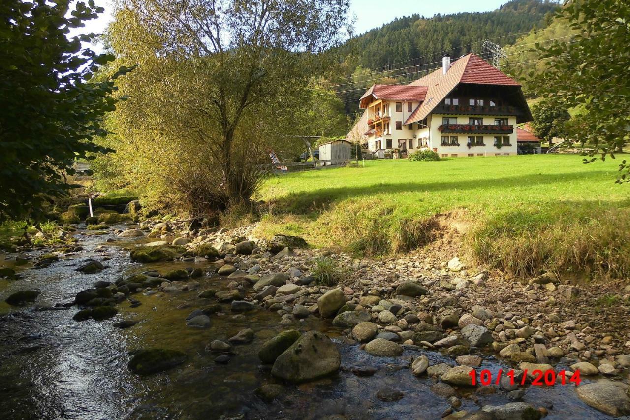 Апартаменты Urlaub Auf Dem Haenslehof Эльцах Экстерьер фото